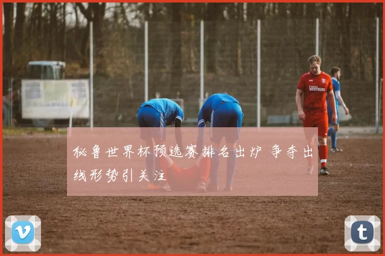 秘鲁世界杯预选赛排名出炉 争夺出线形势引关注