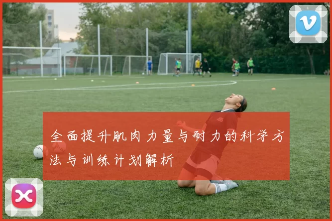 全面提升肌肉力量与耐力的科学方法与训练计划解析