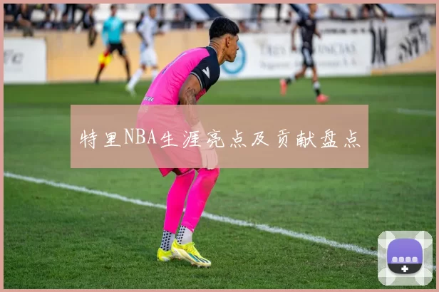 特里NBA生涯亮点及贡献盘点