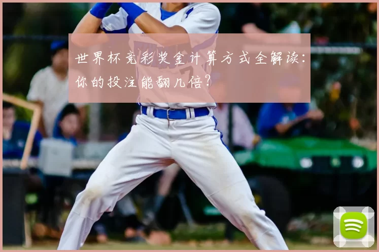 世界杯竞彩奖金计算方式全解读：你的投注能翻几倍？