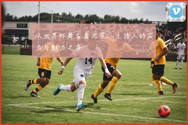 从世界杯舞台看沈星：主持人的实力与魅力之争