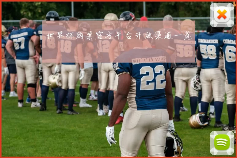 世界杯购票官方平台开放渠道一览