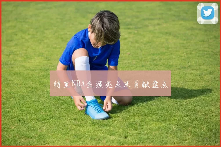 特里NBA生涯亮点及贡献盘点