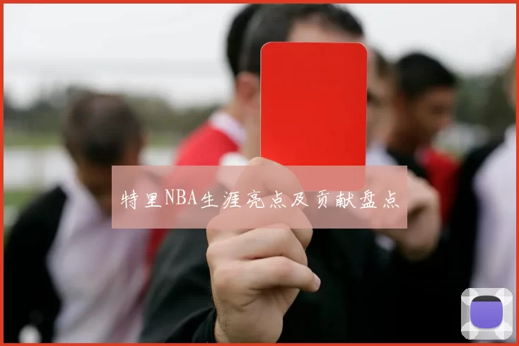 特里NBA生涯亮点及贡献盘点