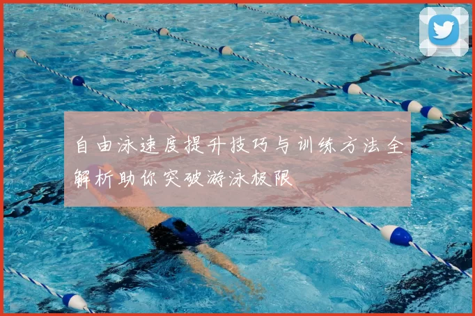 自由泳速度提升技巧与训练方法全解析助你突破游泳极限