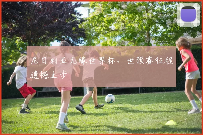 尼日利亚无缘世界杯,世预赛征程遗憾止步