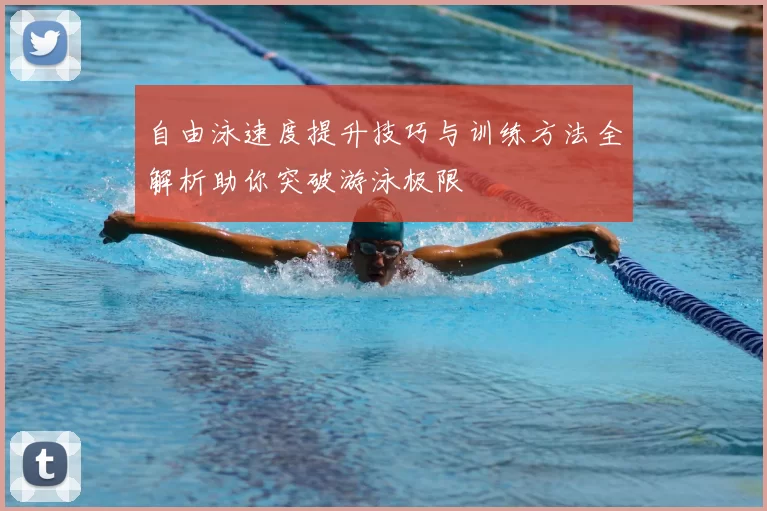 自由泳速度提升技巧与训练方法全解析助你突破游泳极限