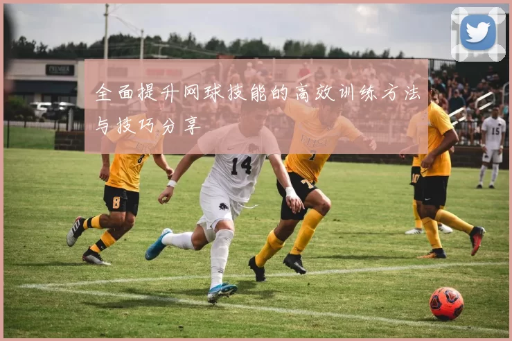 全面提升网球技能的高效训练方法与技巧分享