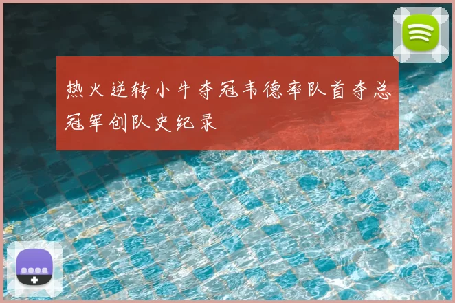 热火逆转小牛夺冠韦德率队首夺总冠军创队史纪录