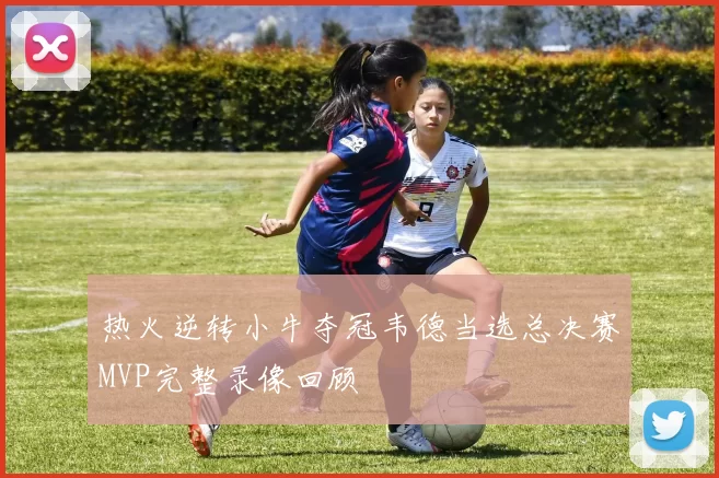 热火逆转小牛夺冠韦德当选总决赛MVP完整录像回顾