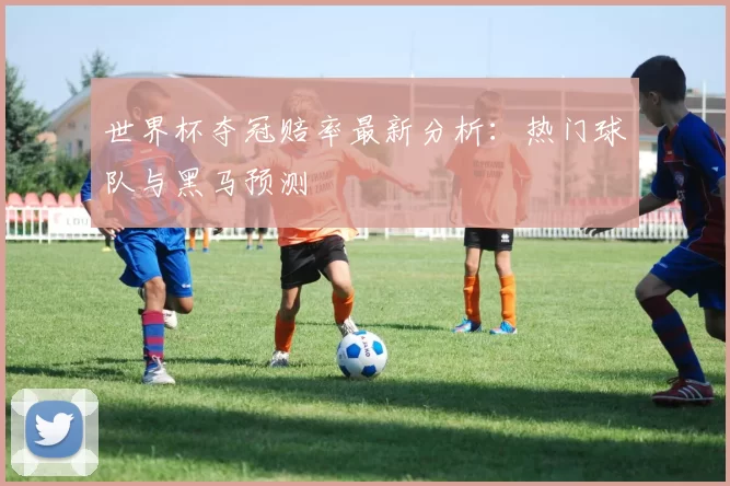 世界杯夺冠赔率最新分析：热门球队与黑马预测