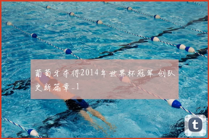 葡萄牙夺得2014年世界杯冠军 创队史新篇章_1