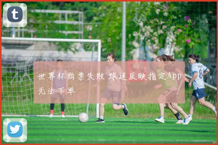 世界杯购票失败 球迷反映指定App无法下单