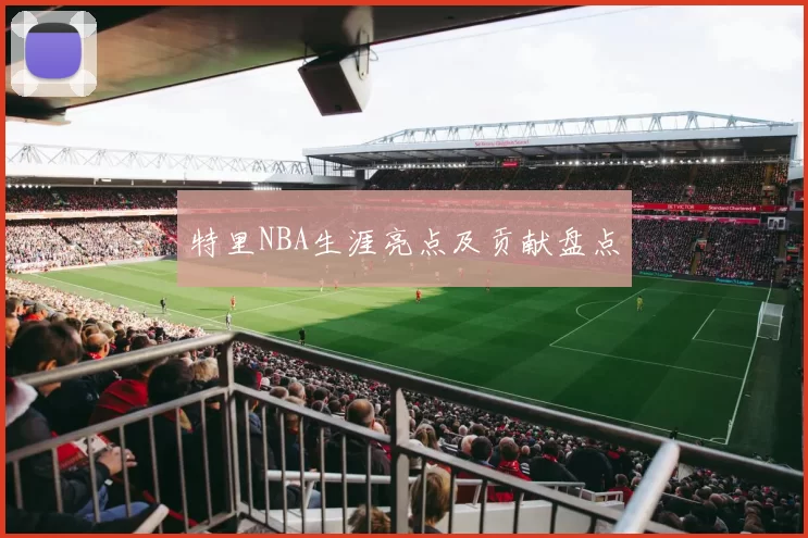 特里NBA生涯亮点及贡献盘点