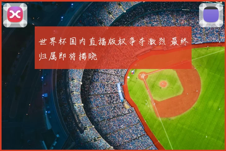 世界杯国内直播版权争夺激烈 最终归属即将揭晓
